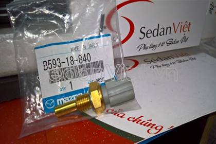 Cảm biến nhiệt độ nước 2 giắc điện B59318840A