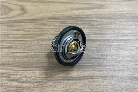 Van hằng nhiệt Ford Fiesta 2010