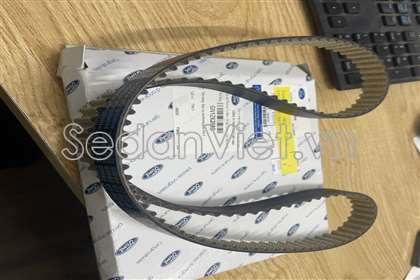 Dây cam GN1Z6268D
