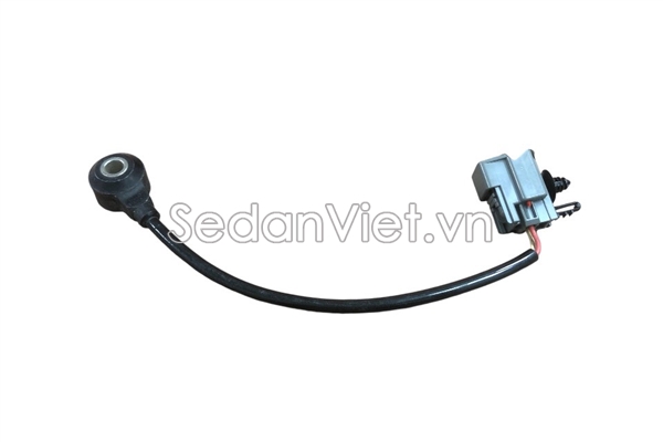 Cảm biến tiếng gõ động cơ LF0118921-01