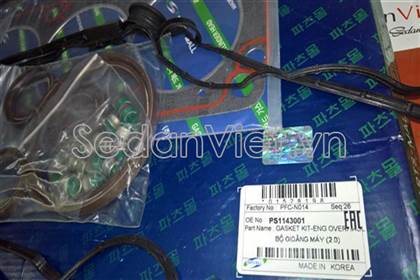 Bộ gioăng đại tu PS1143001