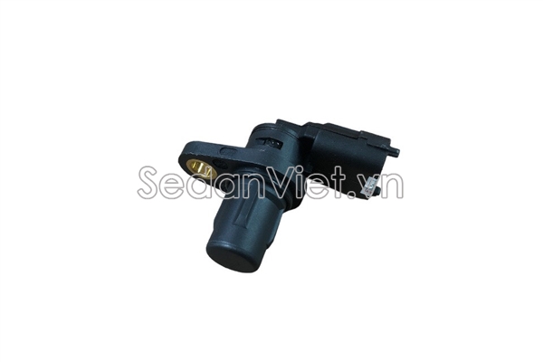 Cảm biến trục cam SNR200020