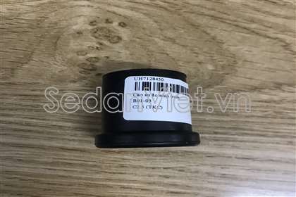 Cao su nhíp Ford Ranger 2005-2007