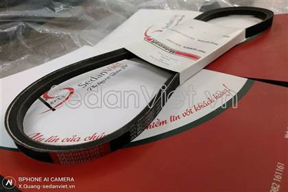 Dây curoa trợ lực WLBC15908T