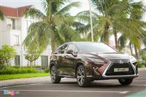 Phụ tùng Lexus RX350 2015-2019