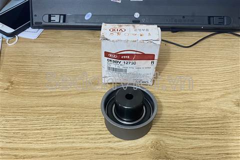 Bi tì cam KIA Carnival 2004-2007