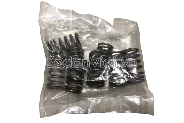 Lò xo xupap Hyundai Grand Starex 2008-2013