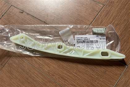 Nhựa dẫn hướng cam thẳng Hyundai Santafe 2010