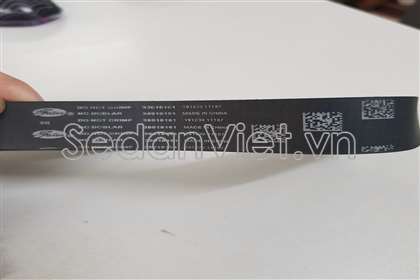 Dây curoa thước lái điện Ford Ranger biturbo 2.0 2019