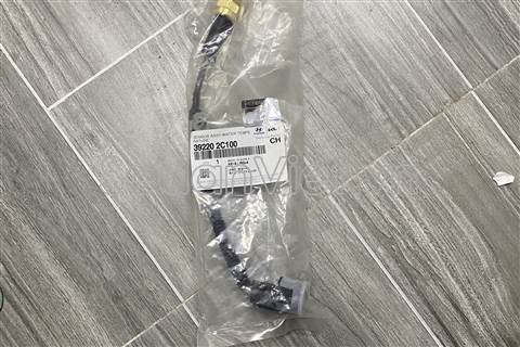 Cảm biến nhiệt độ nước Hyundai Grand Starex 2008-2013