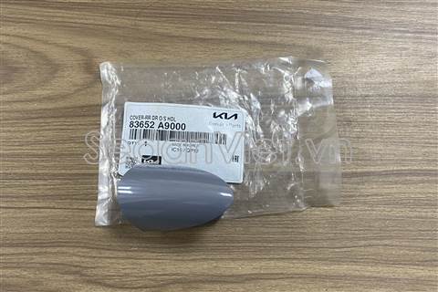 Đuôi tay mở cửa sau KIA Sedona 2015