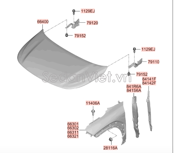 Sơ đồ lắp ráp phụ tùng Capo
