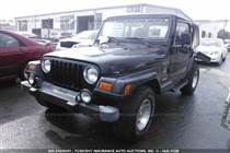 jeep-wrangler-i-2001-