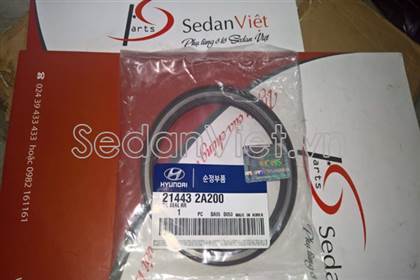 phot-duoi-dong-co-hyundai-santafe-oem-22741