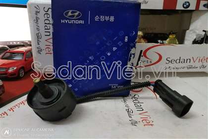 cong-tac-bao-dau-diezen-hyundai-santafe-319212b900-chinh-hang