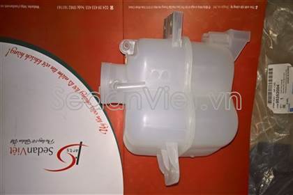 binh-nuoc-phu-chevrolet-spark-oem-6819